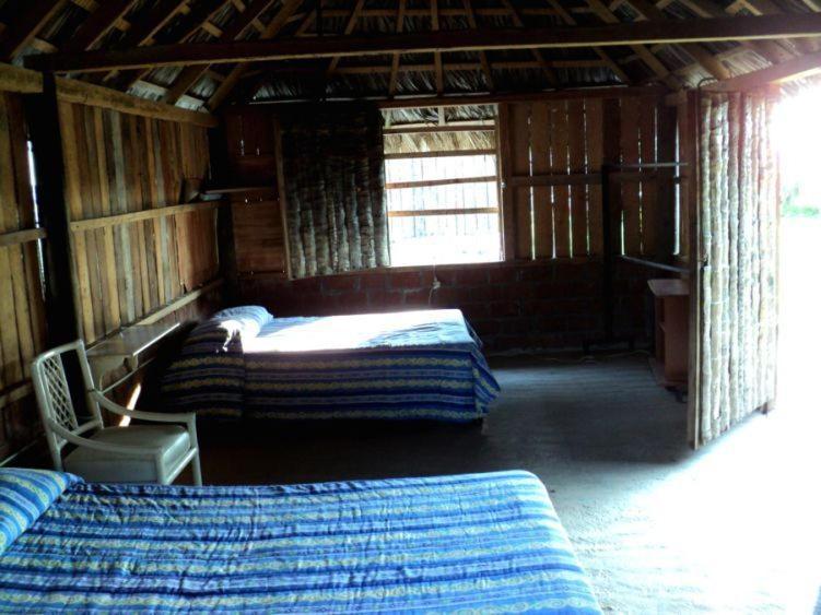 Hôtel Cabanas Pie De La Cuesta à Coyuca Chambre photo